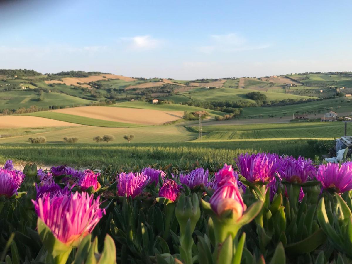 Bed and Breakfast La Trave Montecosaro  Exterior foto